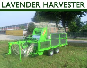 Lavender Harvester