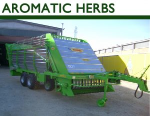 Aromatic Herbs Home Page
